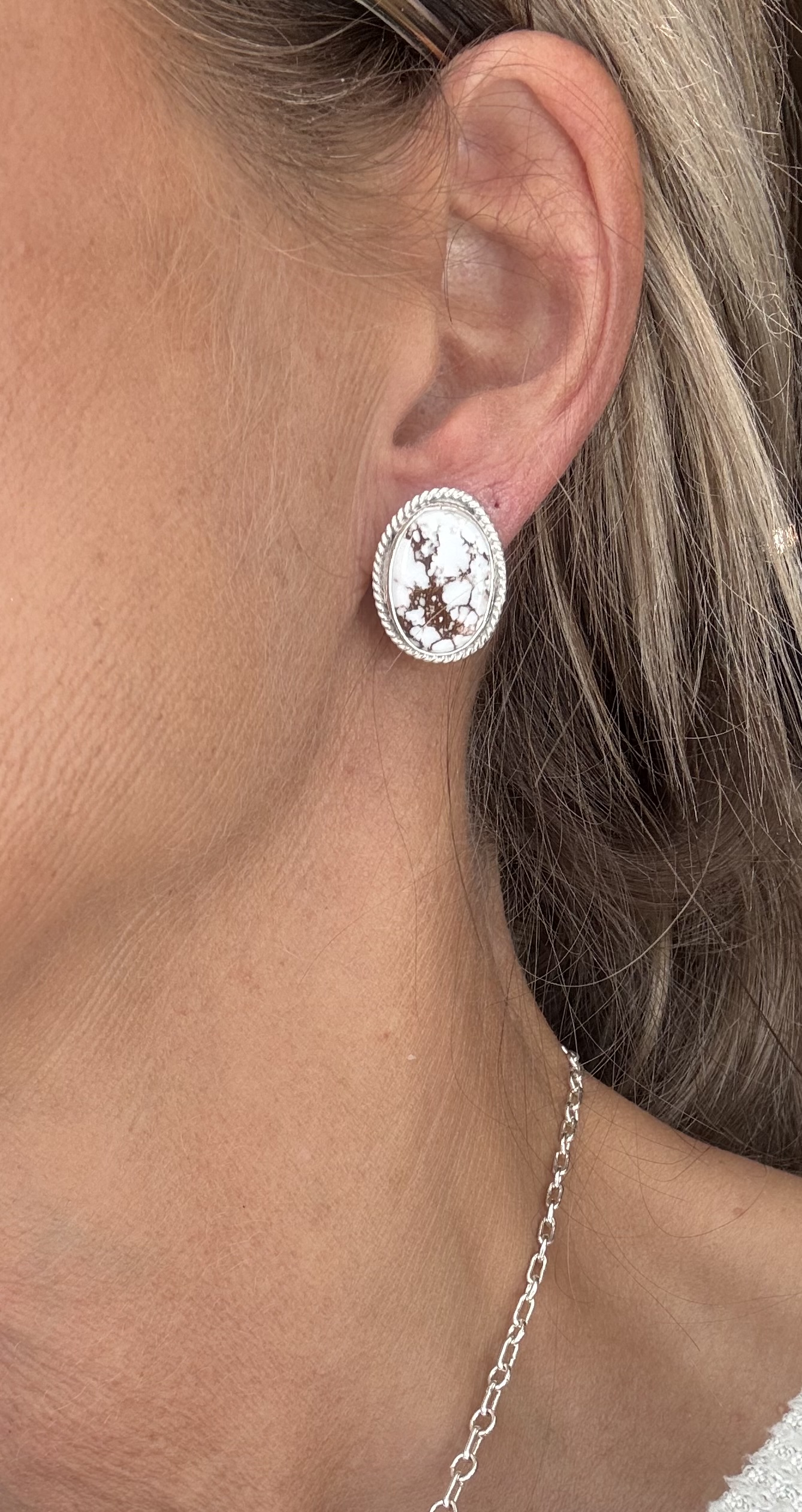 Wild Horse Jasper Earrings - Image 4