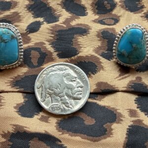 Kingman Turquoise Twist Studs
